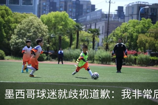 墨西哥球迷就歧视道歉：我非常后悔，已辞去工程师协会职务